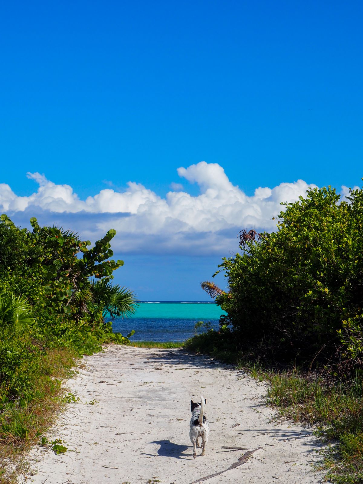 Frannie heads to beach