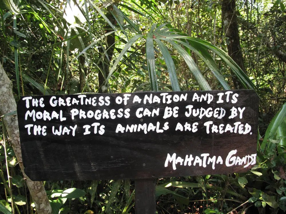 Sign at The Belize Zoo - Gandhi