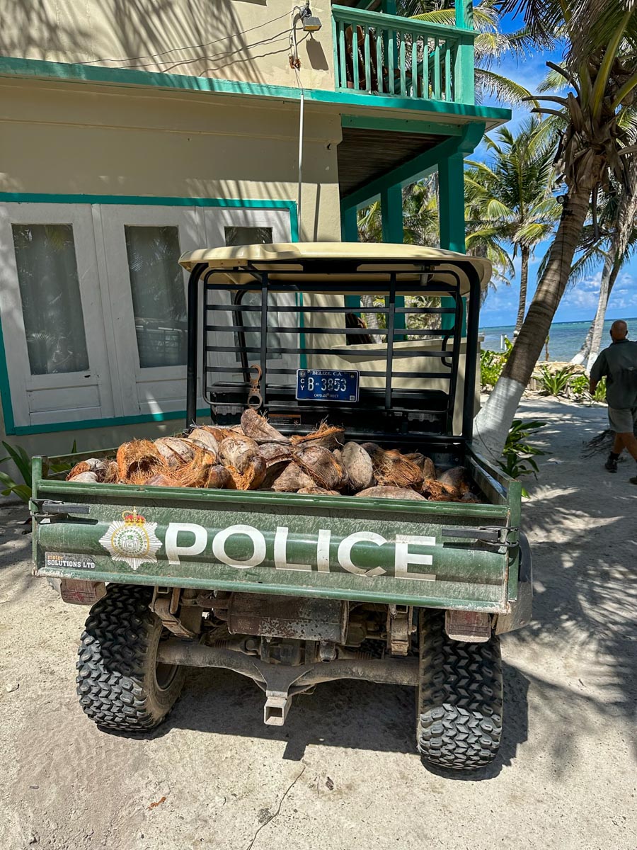 Police truck filled with coconut husks