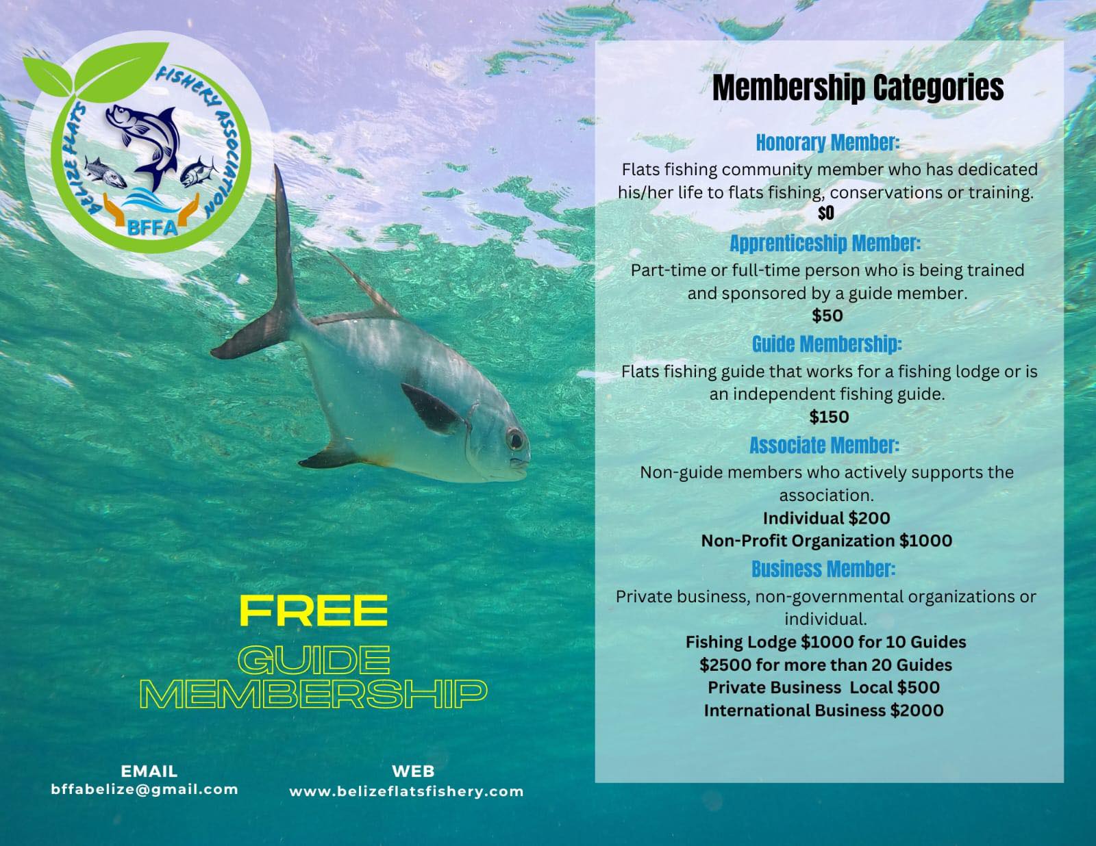 Belize Flats Flyfishing Association flyer