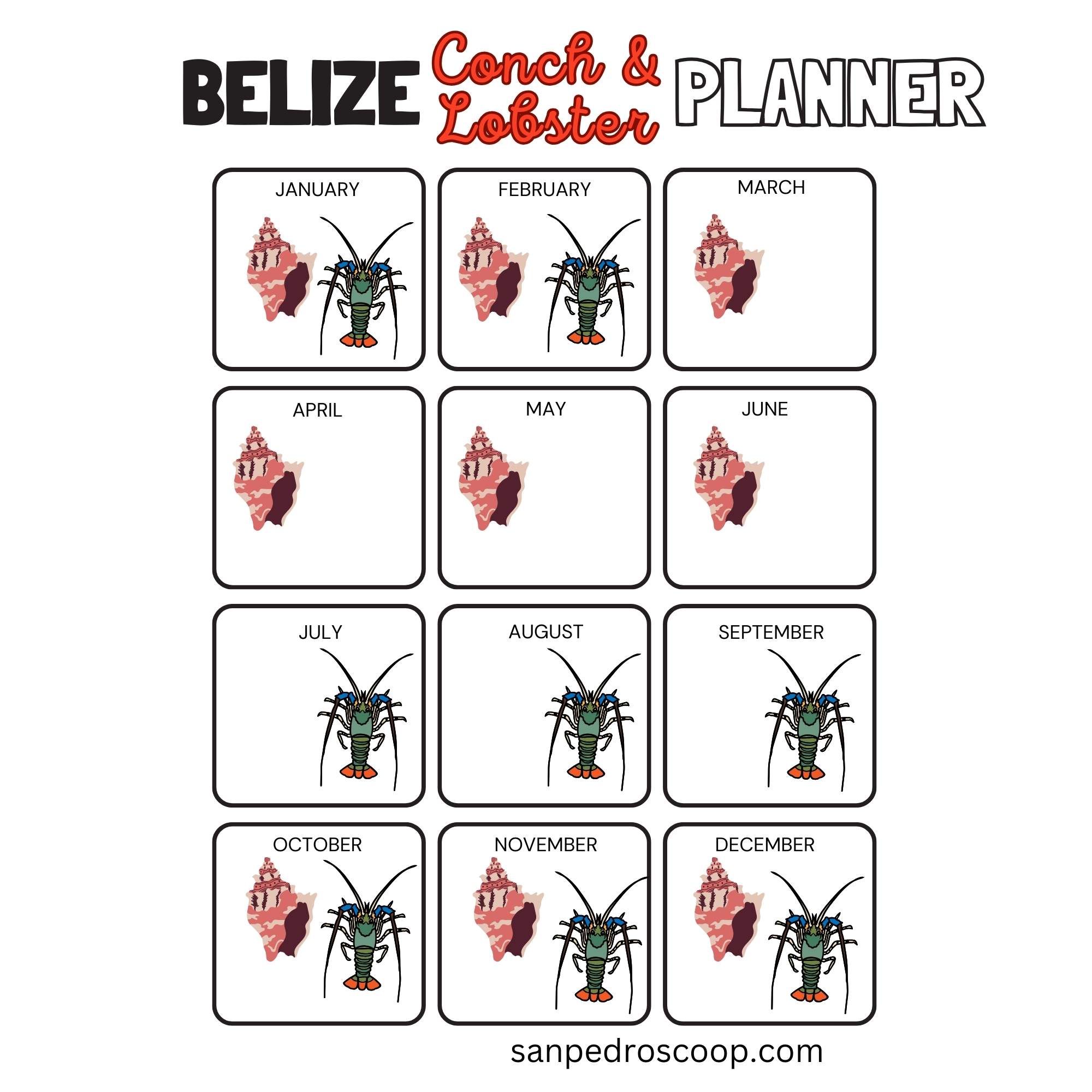 Graphic showing the months of the year and the lobster and conch seaons in belize