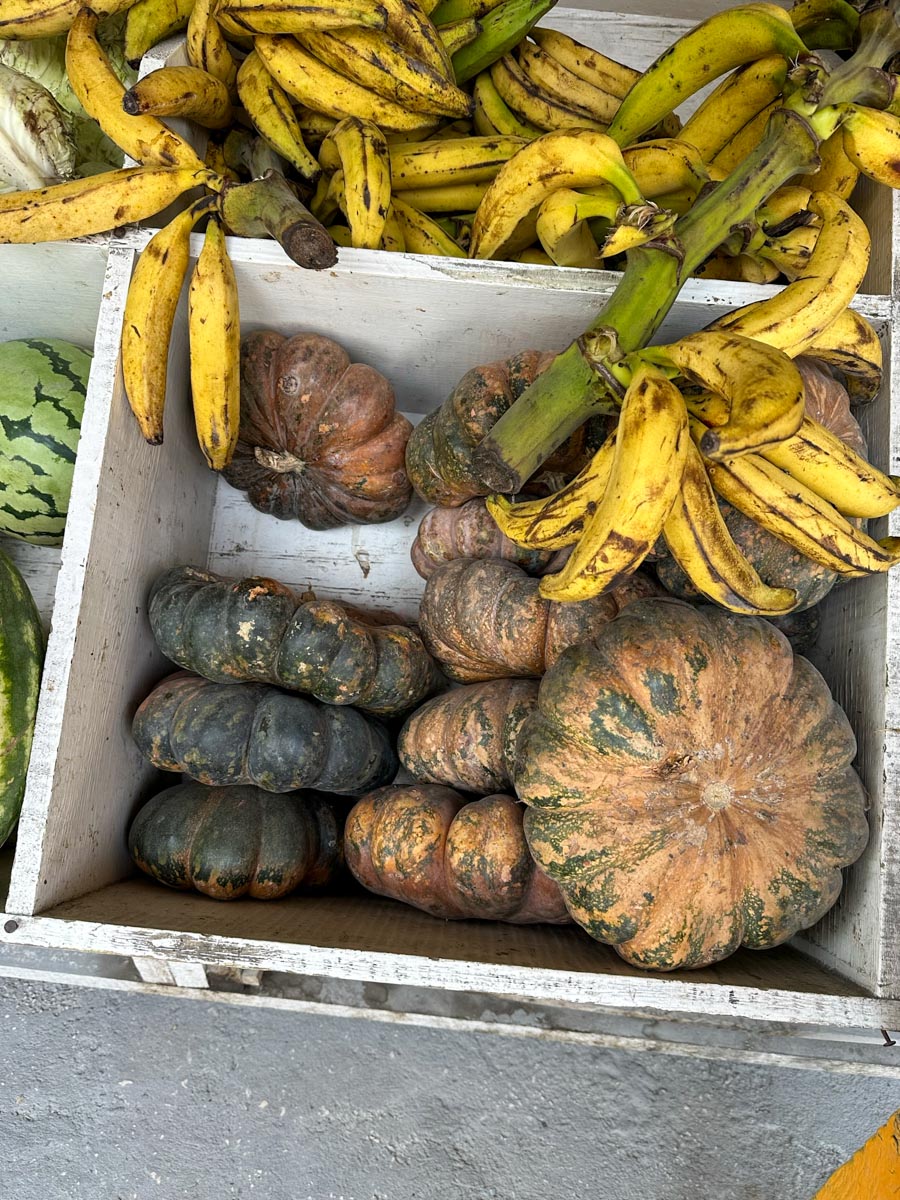 Local pumpkins for sale in San Pedro