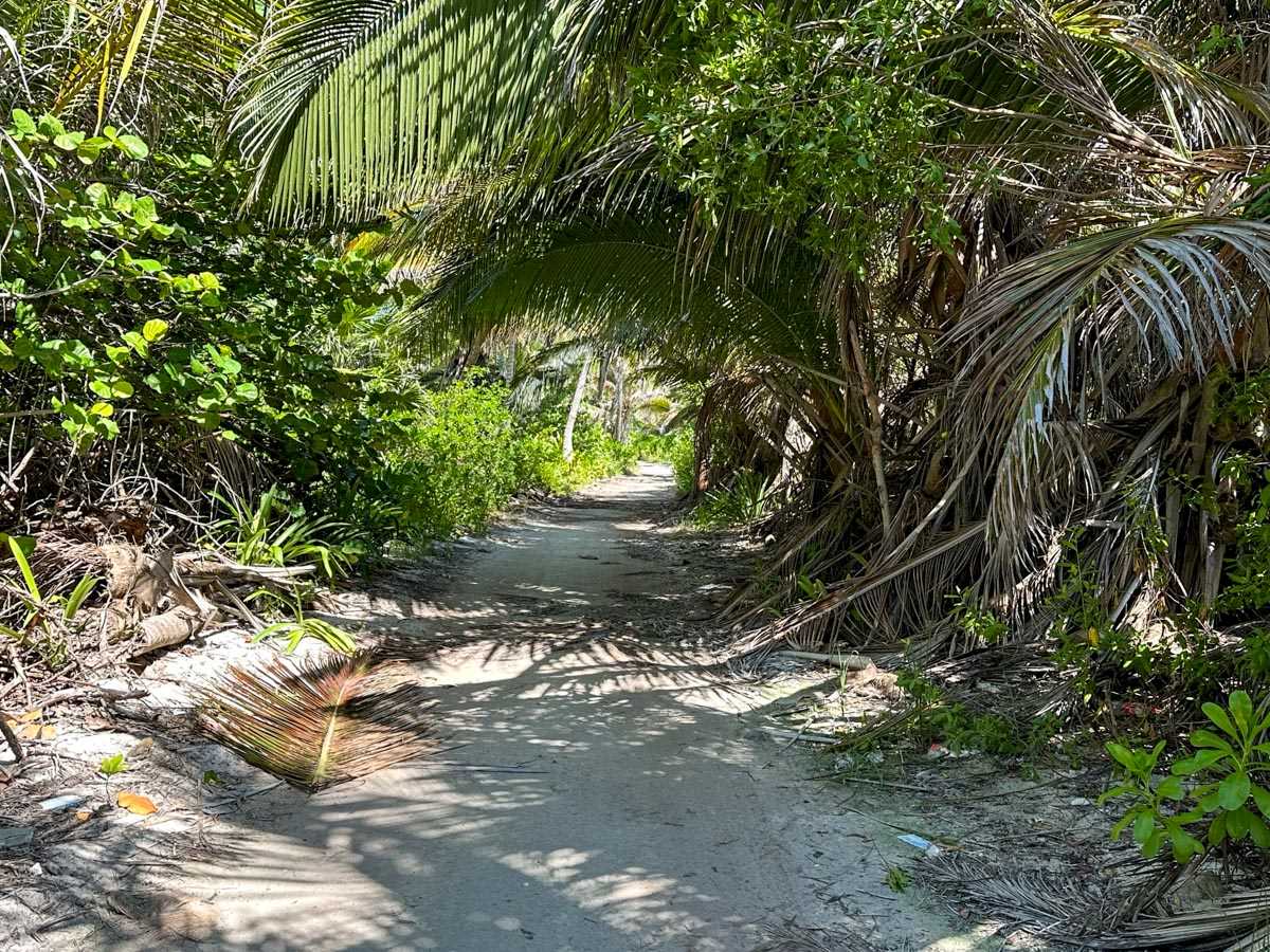 The drive on North Ambergris Caye