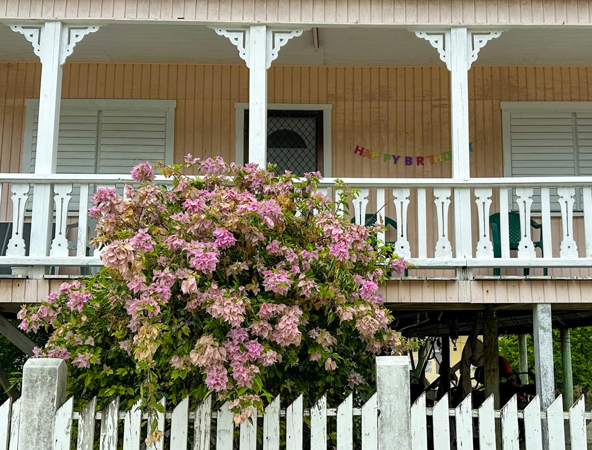 Cute pastel house in Caye Caulker