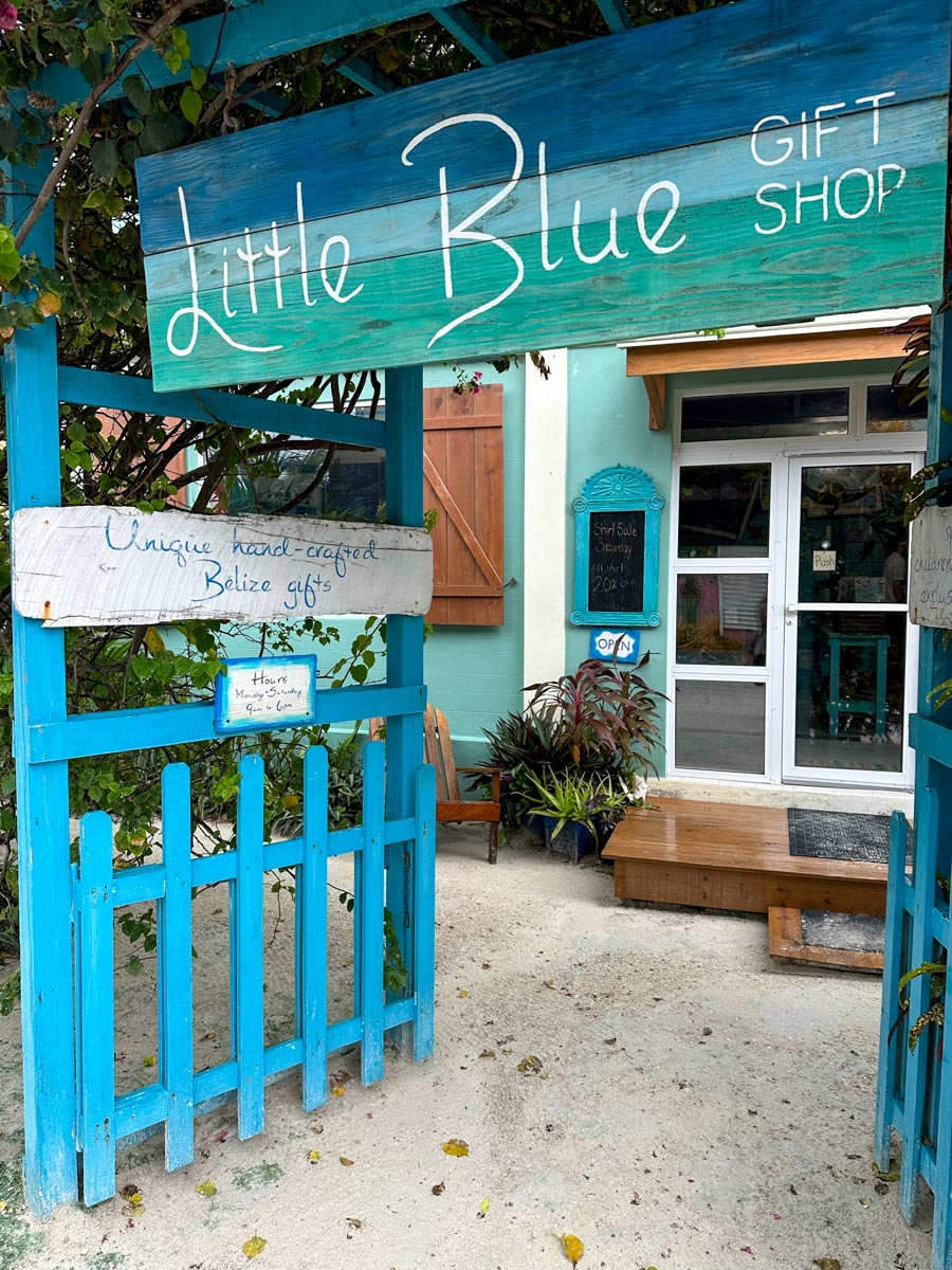Little Blue Store