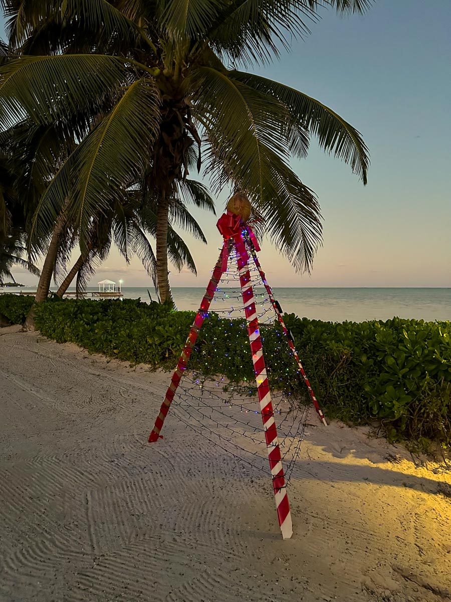 Picture of Holiday tree at Tuto Belize