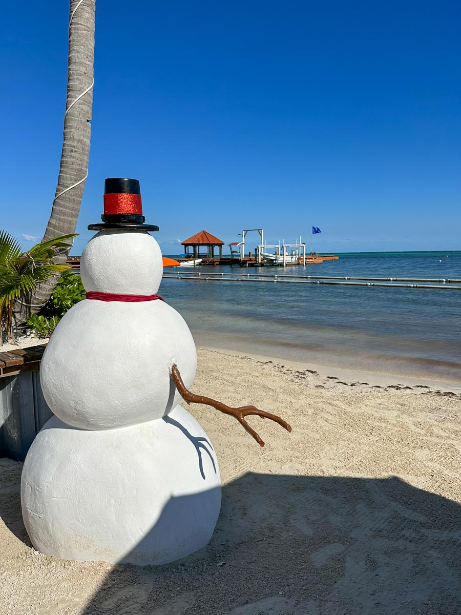 Snowman looking at the water