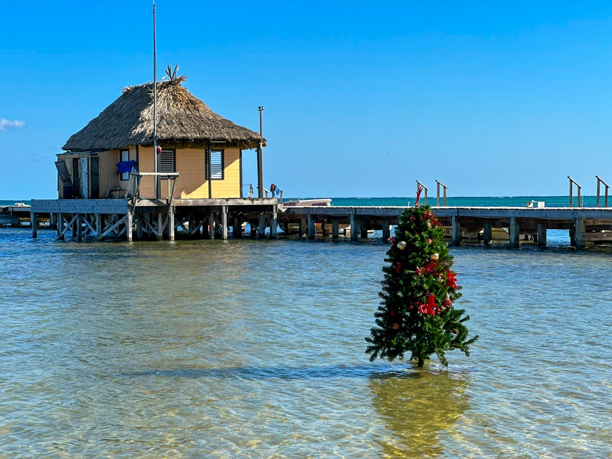 Christmas tree in the sea at Portofino Resort