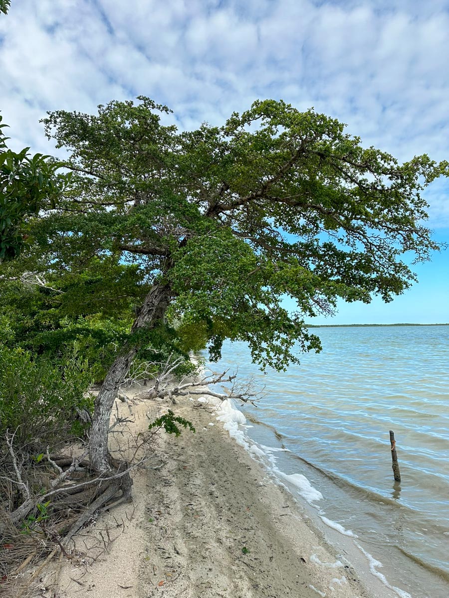 Cayo Frances Lagoon 