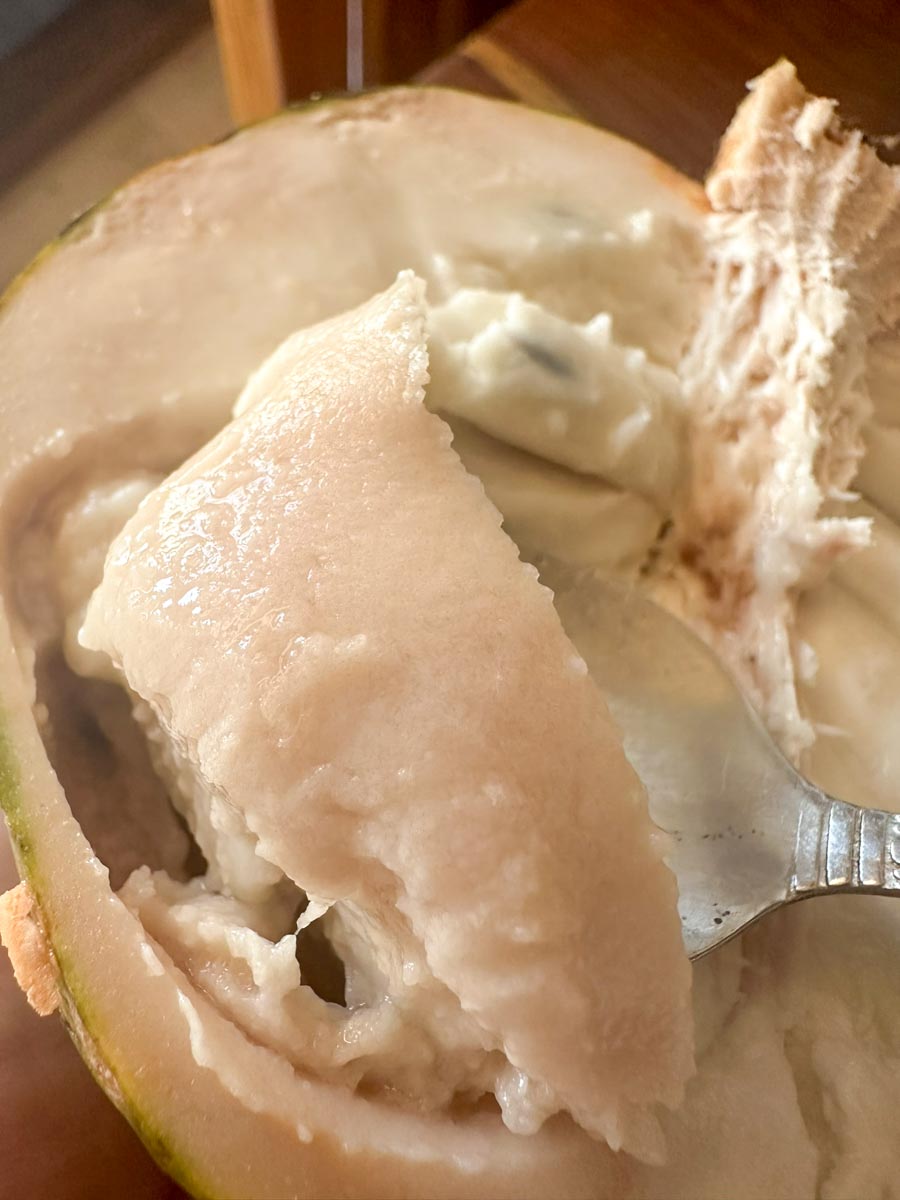 Inside of custard apple