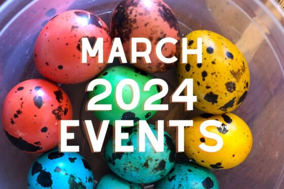March 2024: Daily Events Calendar on Ambergris Caye