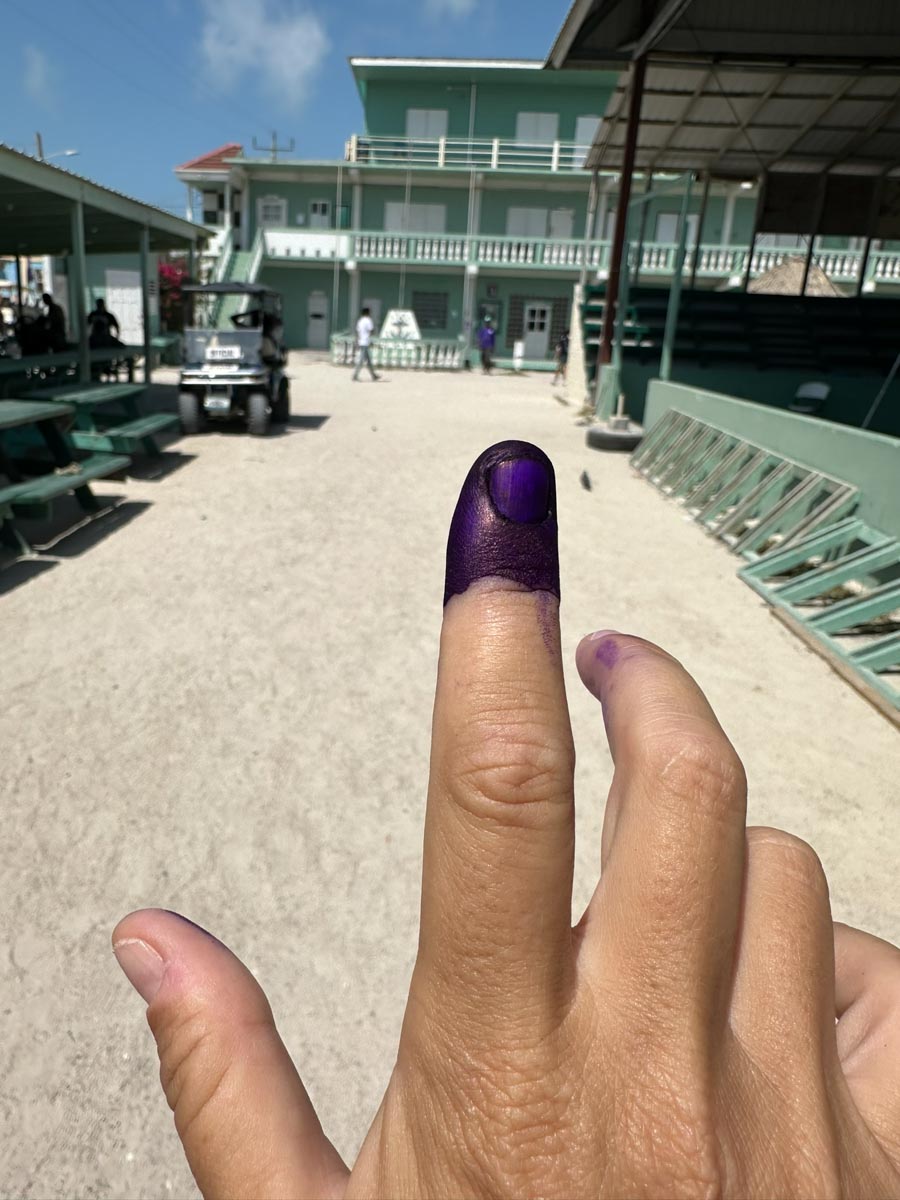 The purple finger from voting