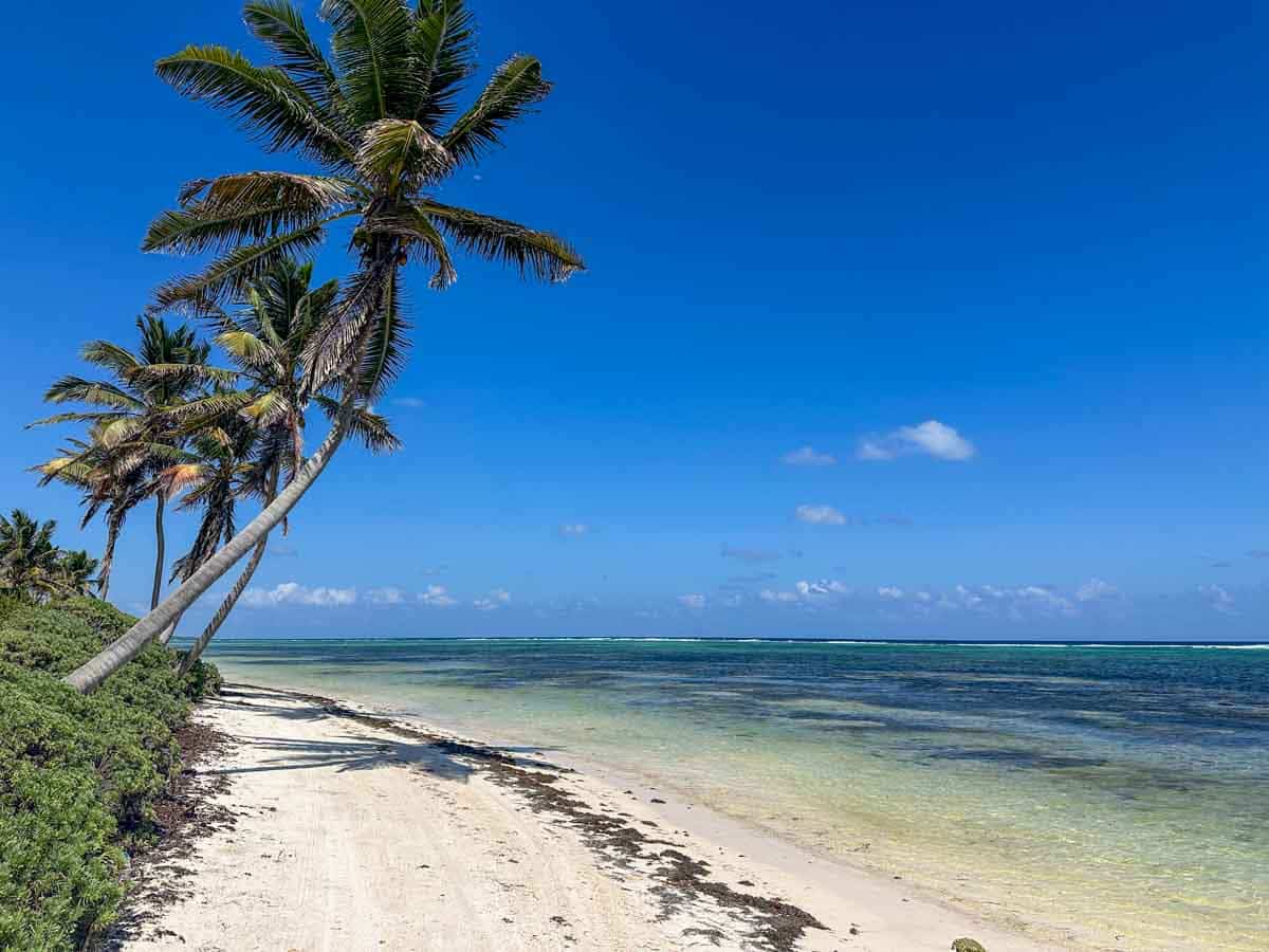 Beach about 15 miles north