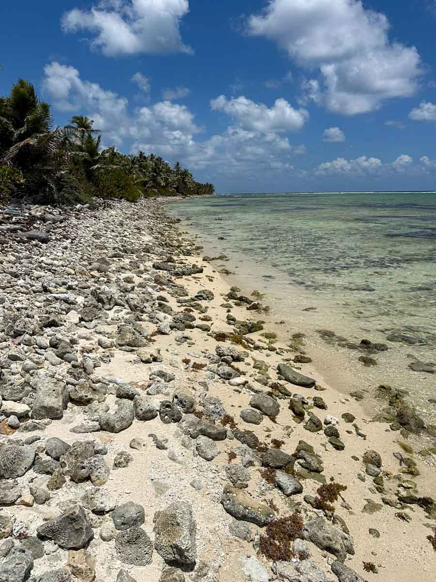 Coral towards Rocky Point