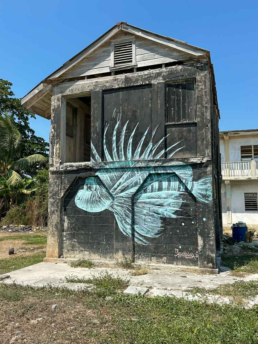 Very cool mural of a lionfish