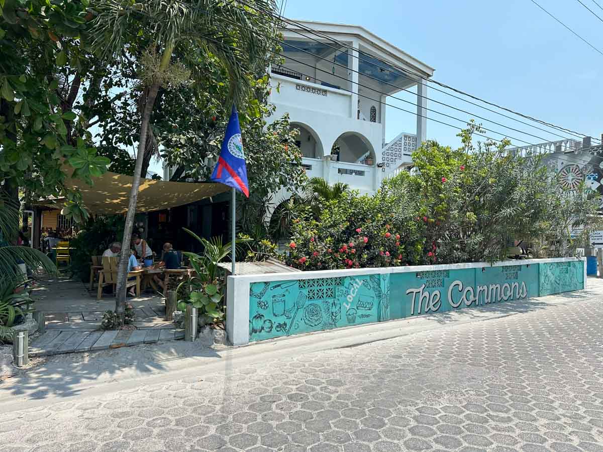 The Commons