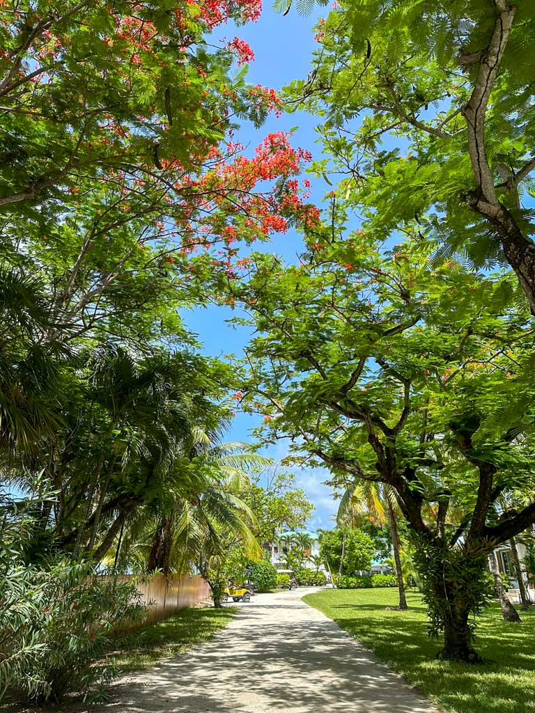 The driveway to Victoria House