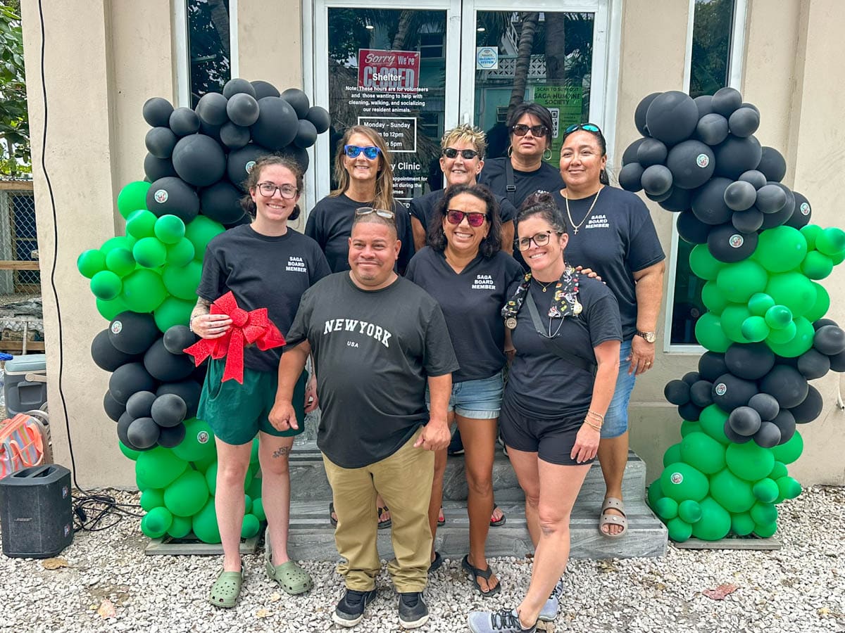 The amazing board of SAGA 