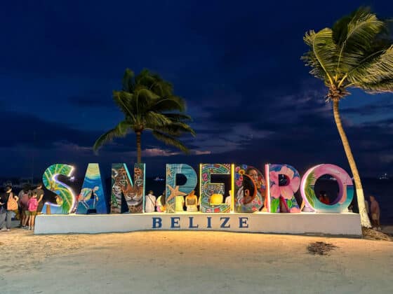 Happy New Year – On to 2026!  End of Year Events and Some Quick Thoughts…