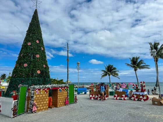 A Quick Walk Around San Pedro: Christmas is Coming
