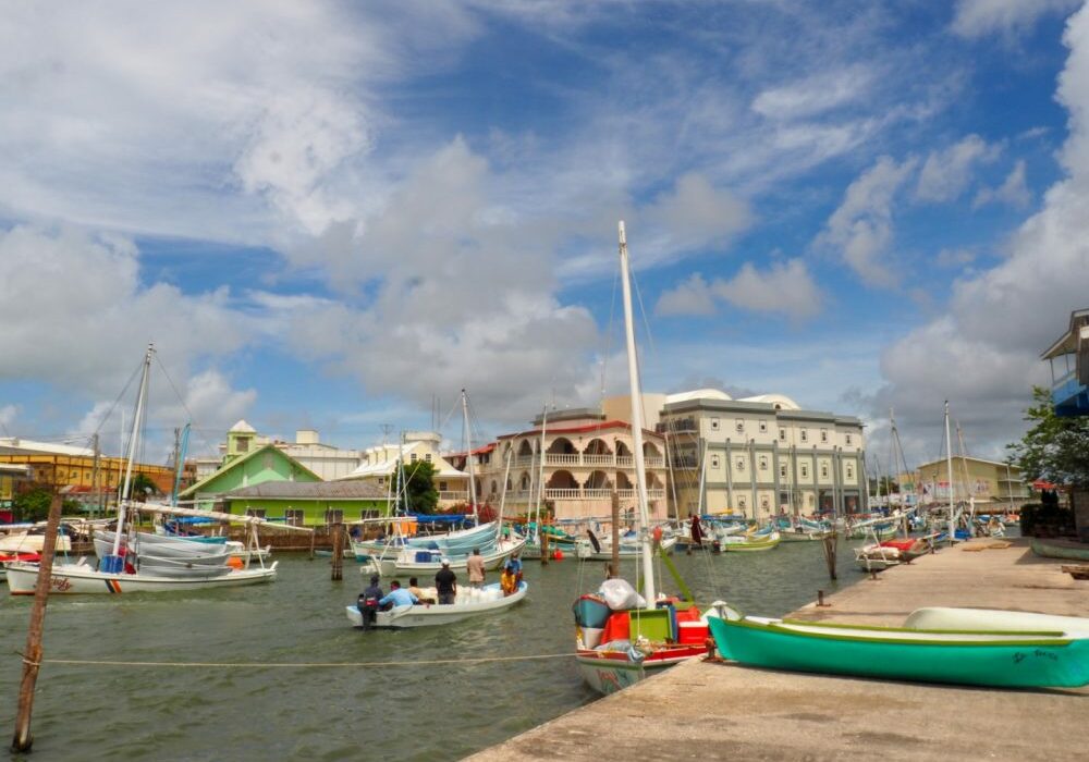 Vacasa-Belize-Botanic-Garden-12-e1626796337237